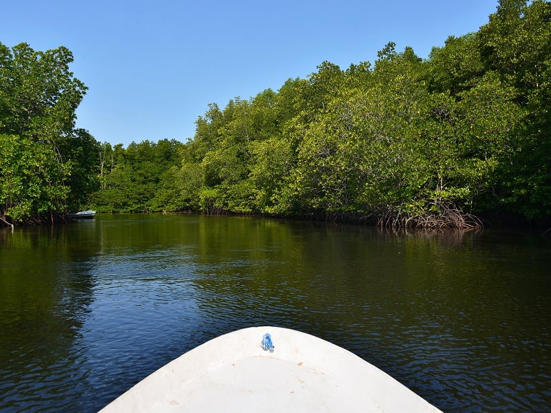 Cruise to Nusa Lembongan Island