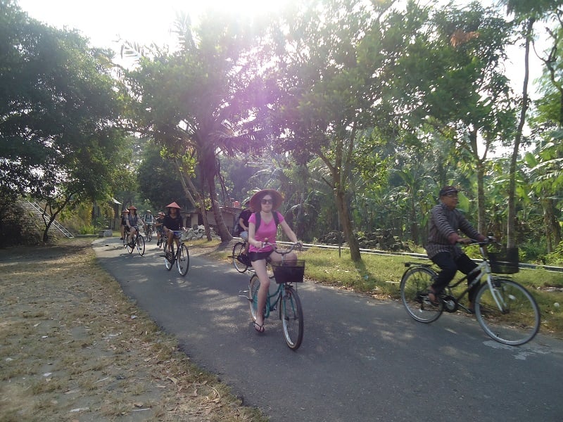 Cycling and Ricefields Yogjakarta