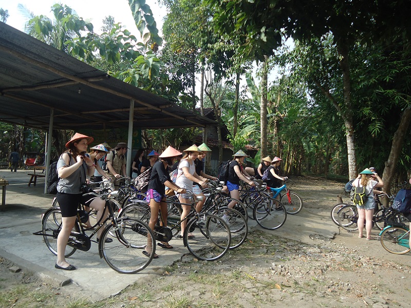 Cycling and Ricefields Yogjakarta