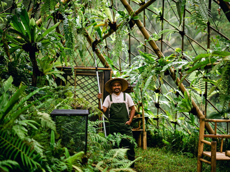 Discover Bali’s Soul: Fireflies Journey