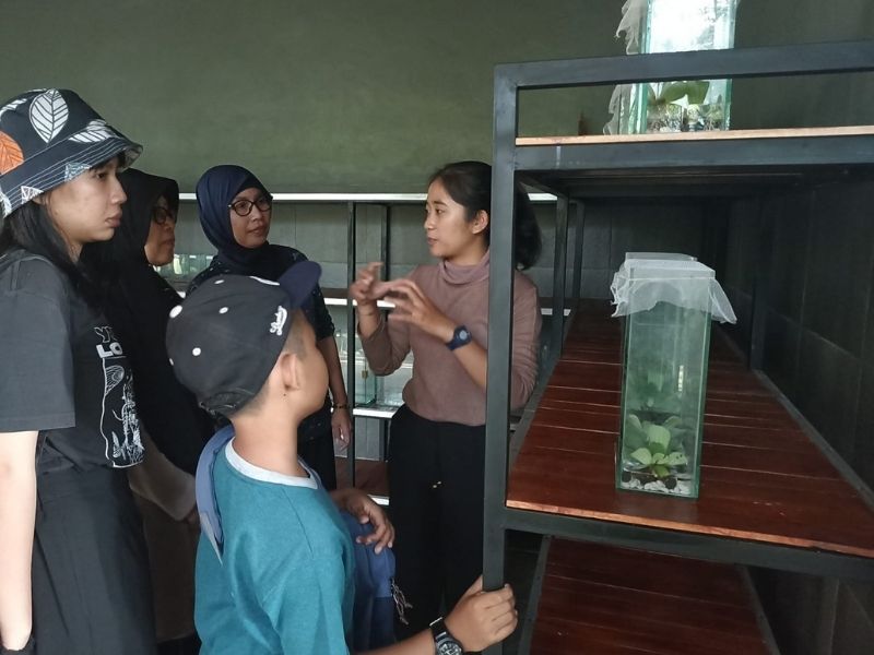 Discover Bali’s Soul: Fireflies Journey