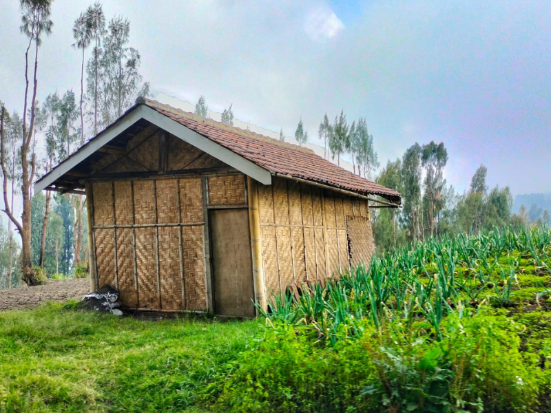 Discover Tengger Tribe, Guardians of Bromo