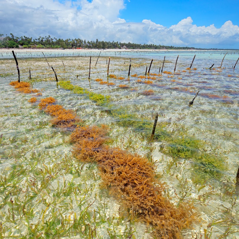 East Nusa Penida Tour