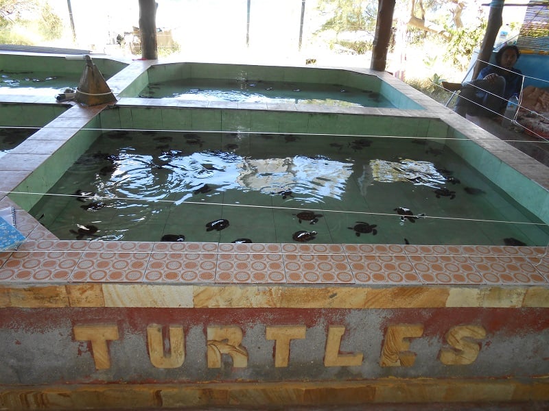 Enchanting Gili Tour