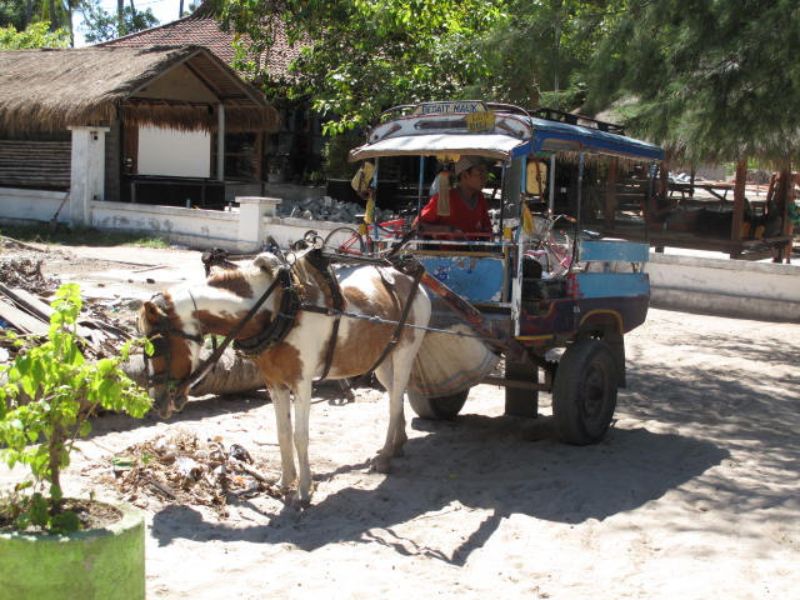 Enchanting Gili Tour