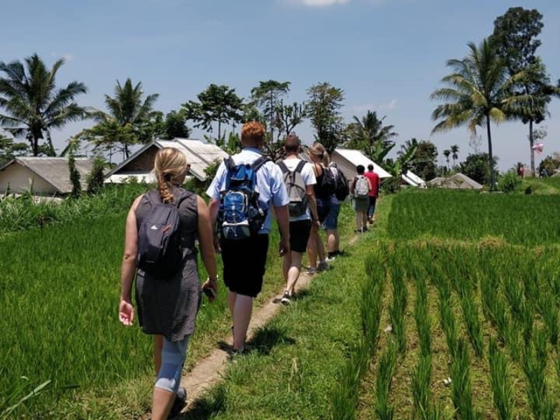 Enchanting Waterfalls & Village Life Experience