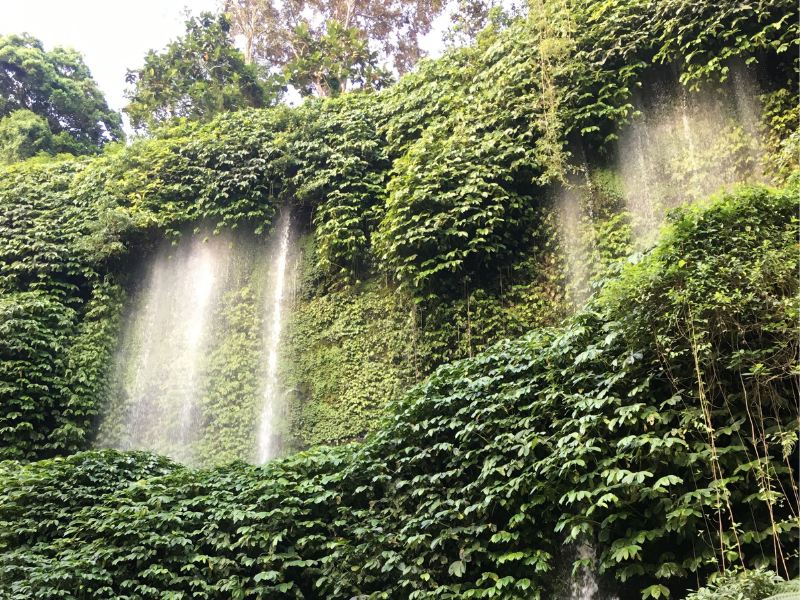 Enchanting Waterfalls & Village Life Experience