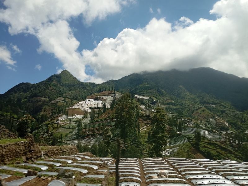 Explore Dieng Highlands