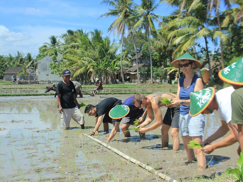 Explore Jogja’s Countryside