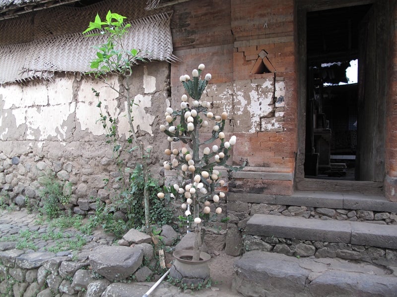 Exploring Bali by VW Convertible - East Bali