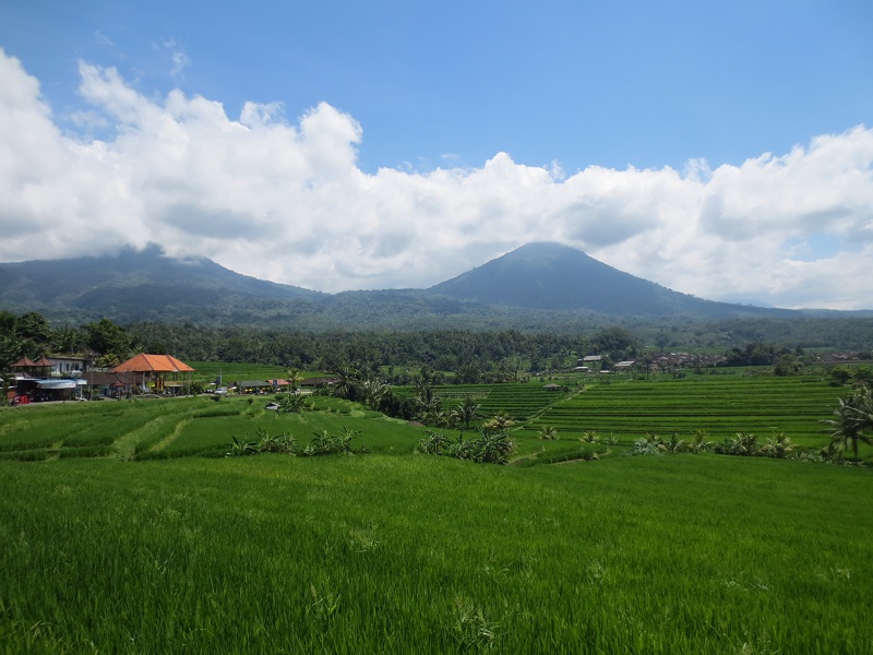 Exploring Bali by VW Convertible - West Bali