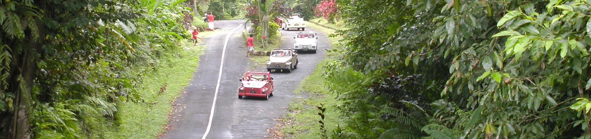 Image of Exploring Bali by VW Convertible - West Bali