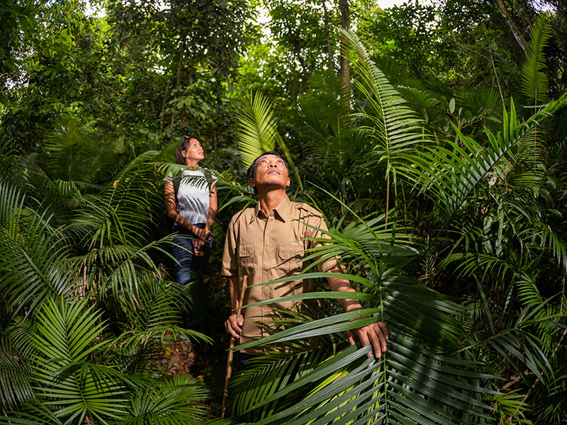 Exploring West Bali’s Backroads by VW Safari