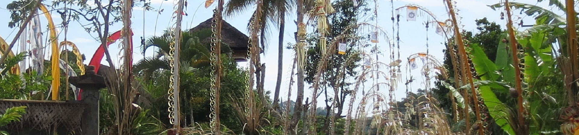 Image of The Colors of Bali: Galungan Festival
