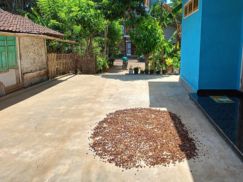 Gombeng Village and Plantation Tour