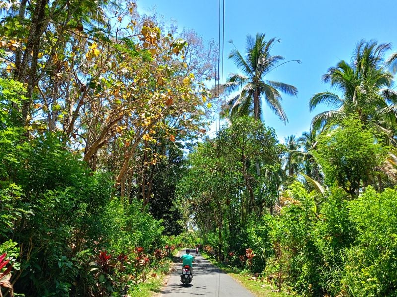 Gombeng Village and Plantation Tour