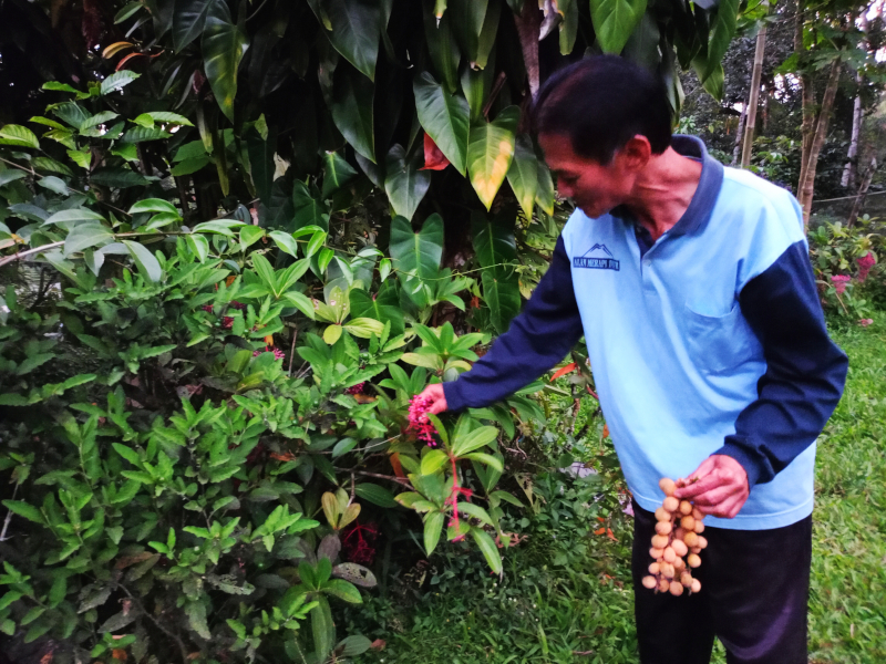 Home Dinner and Merapi Volcano by night