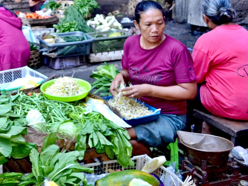 Indonesian Kitchen Ubud