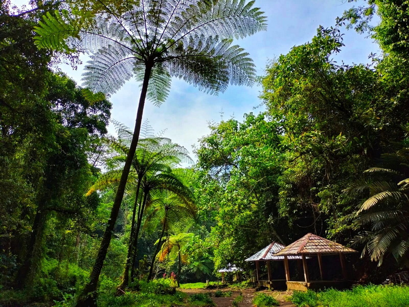 Inland Waterfalls & Craft Village Experience