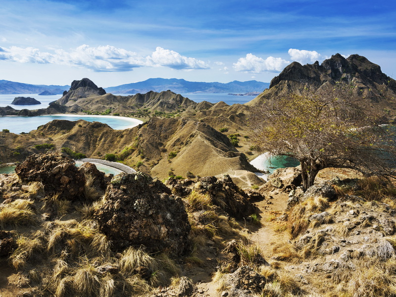 Island Wonders of Komodo