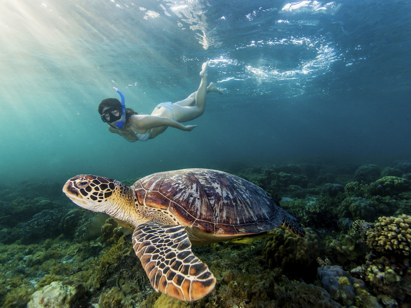 Island Wonders of Komodo