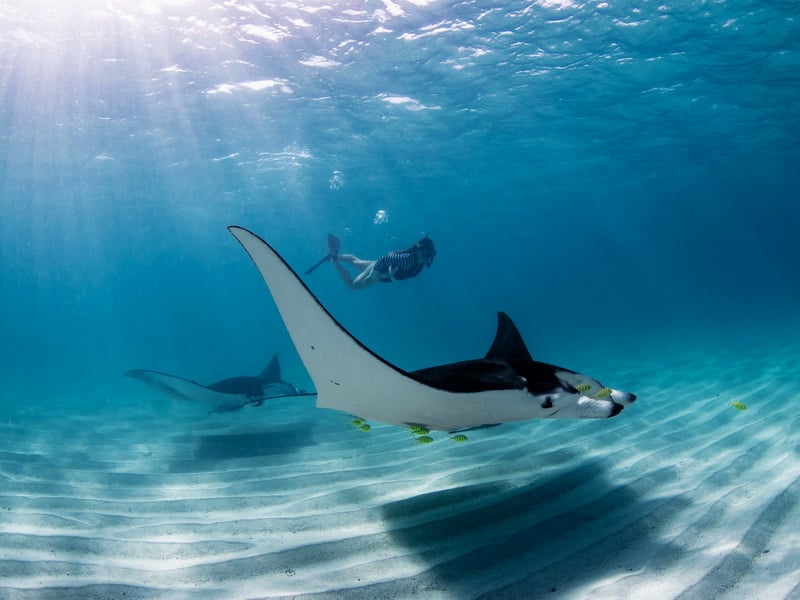 Island Wonders of Komodo