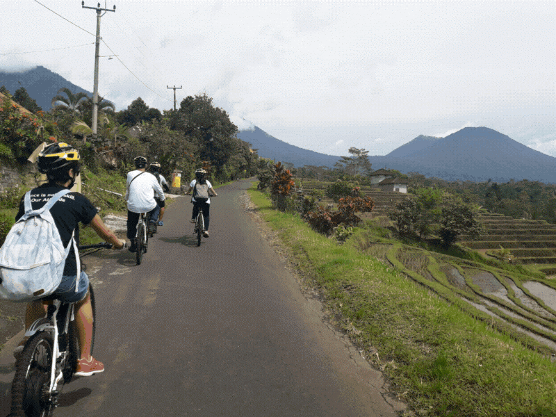 Jatiluwih eBike & Golden Hour Temple