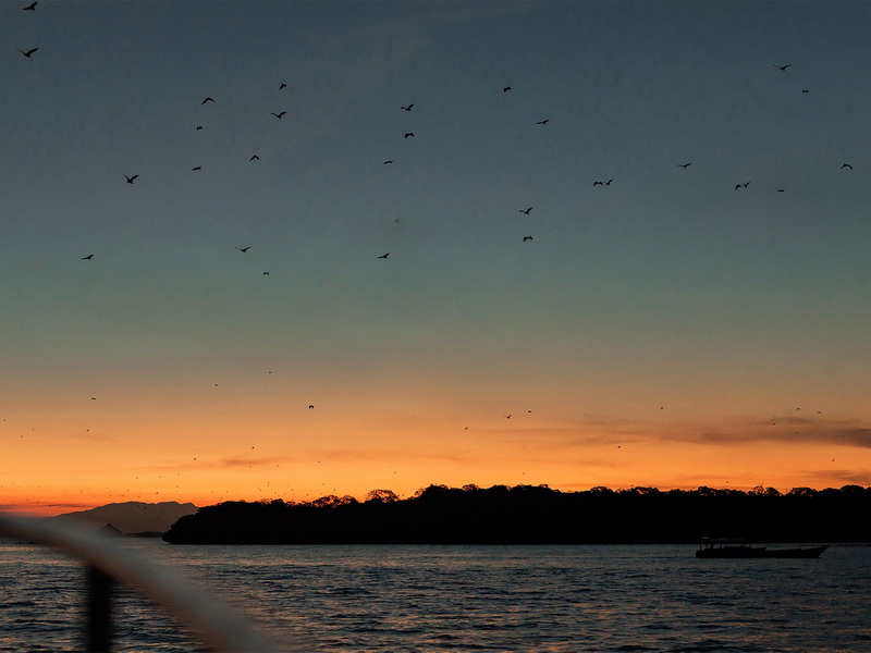 Komodo Sunset Escape