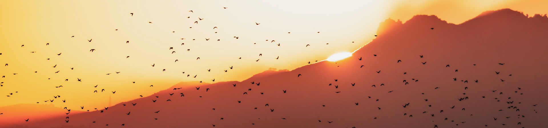 Image of Komodo Sunset Escape