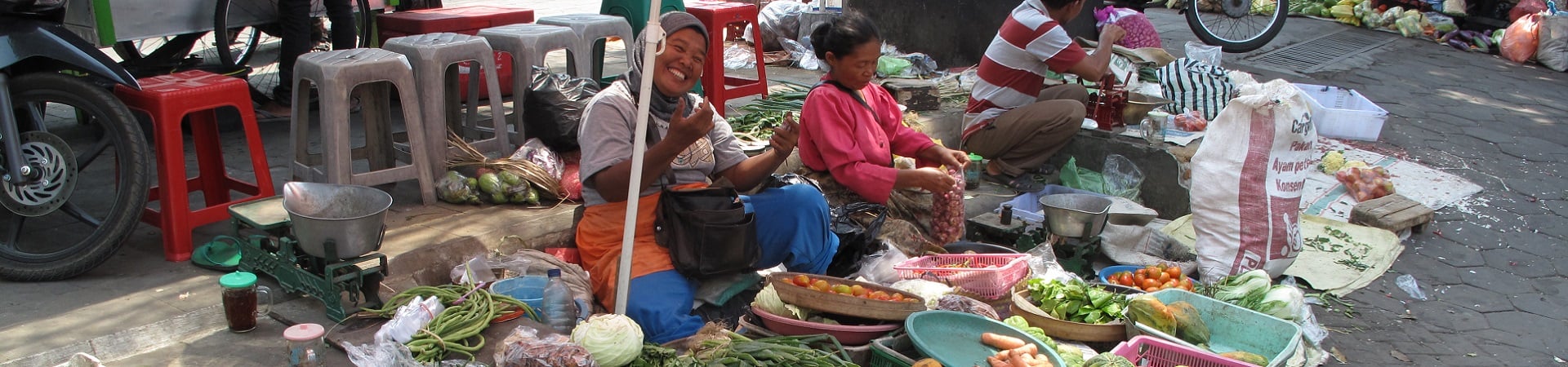 Image of Kotagede in Depth