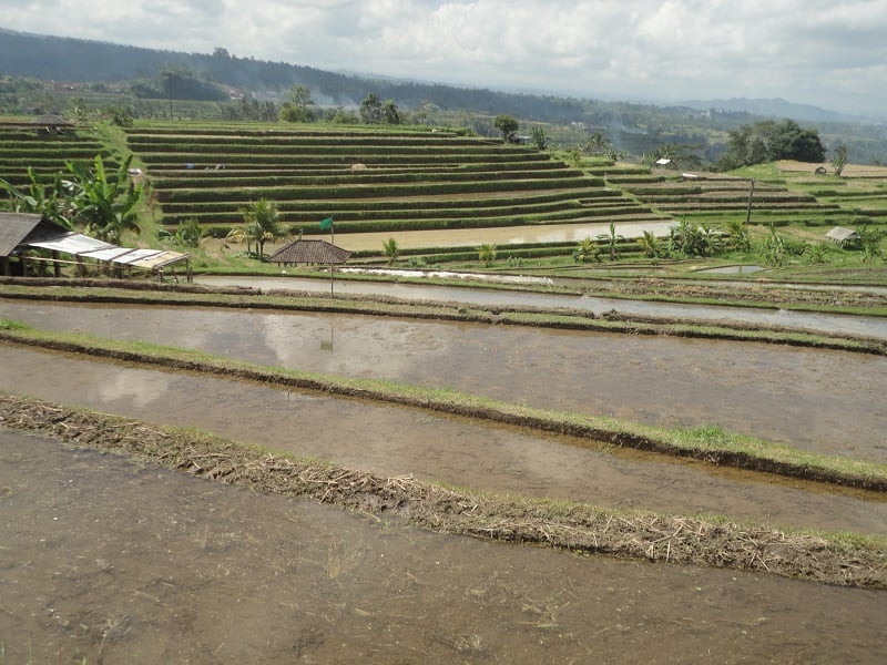 Land Cruiser Adventure Bali