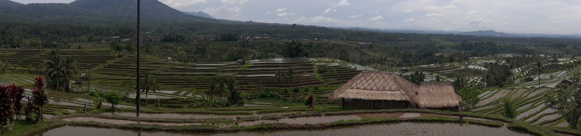 Image of Land Cruiser Adventure Bali