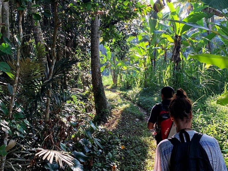 Morning Market and Authentic Culinary Discovery