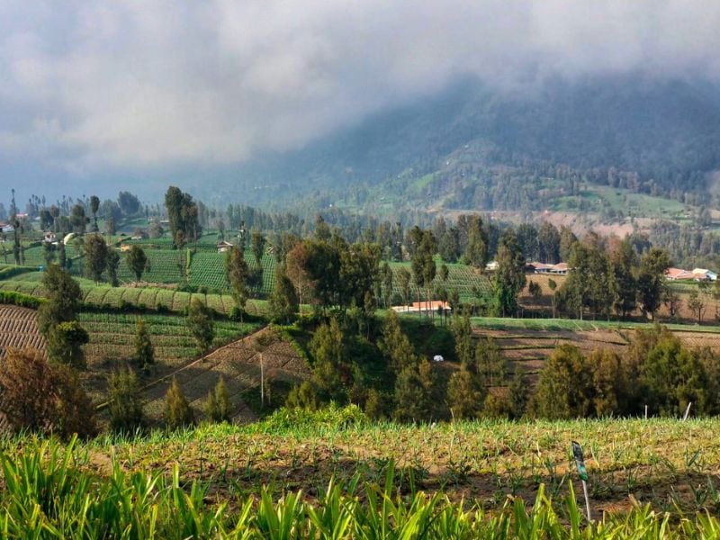 Picturesque Drive to Sunset on Bromo