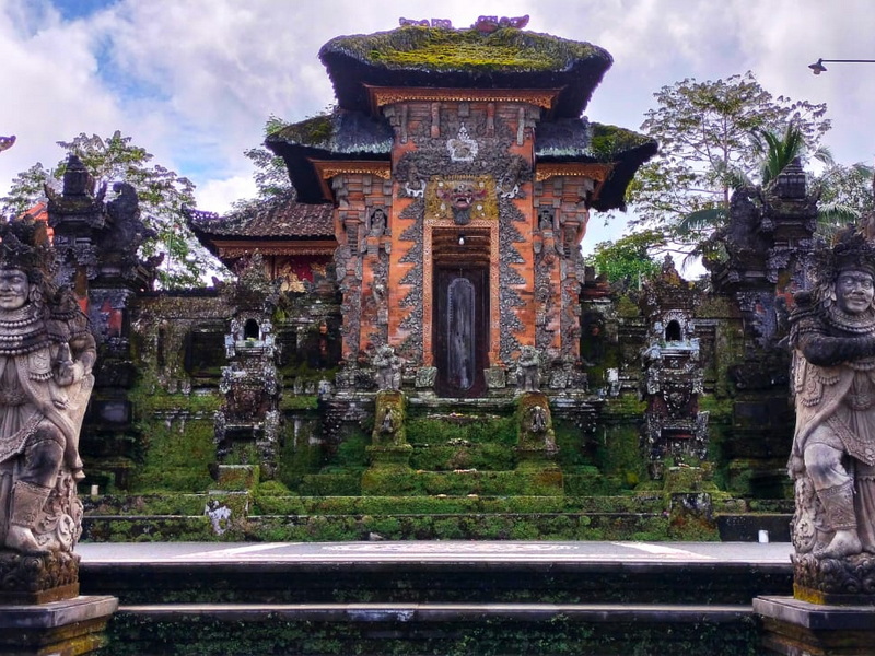 Rice Paddy Trek Bali