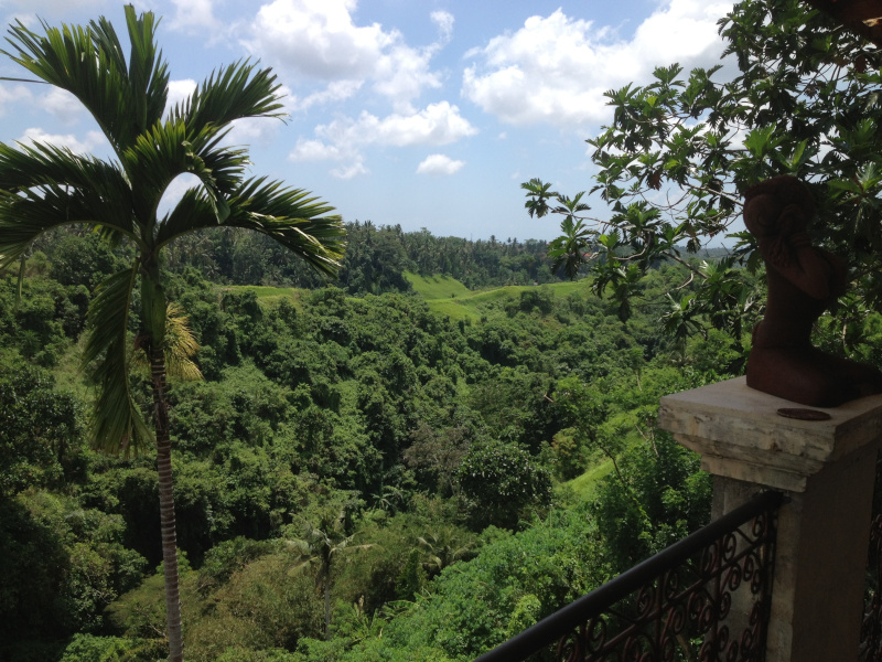 Rice Paddy Trek Bali