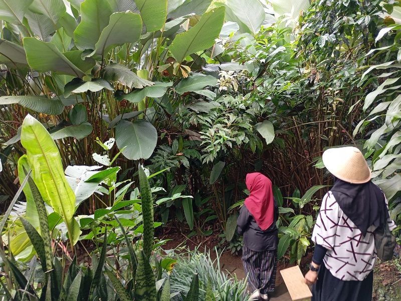 Rumah Tenun Woven by Nature