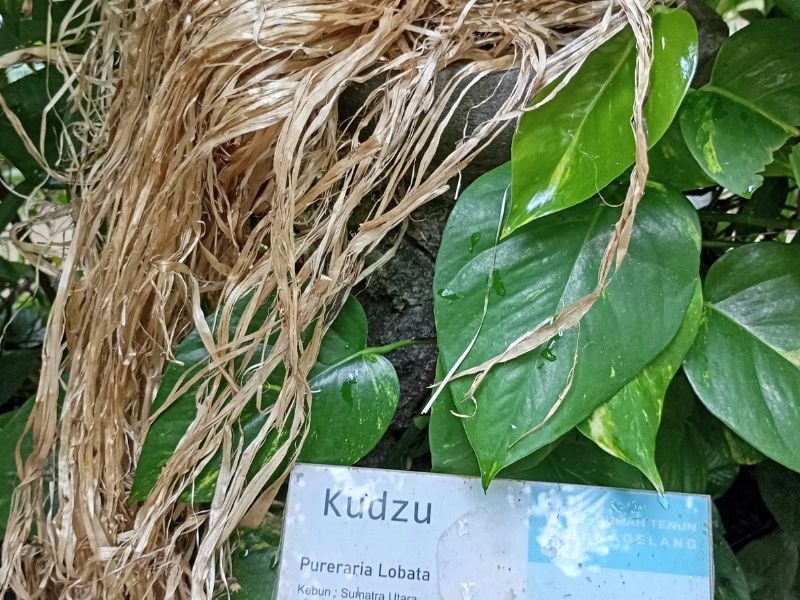 Rumah Tenun Woven by Nature