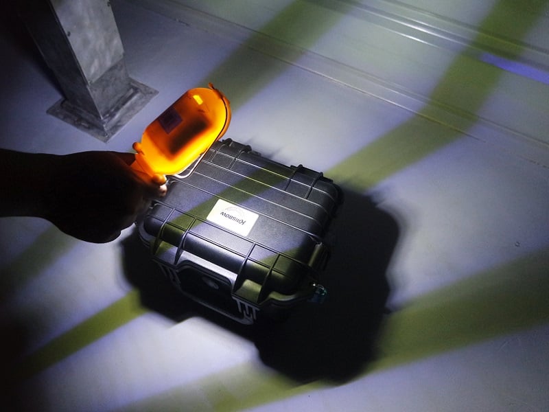 Save The World’s Coral Reefs