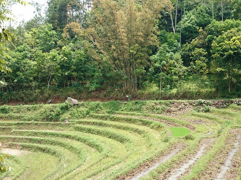 Selogriyo Temple Trekking