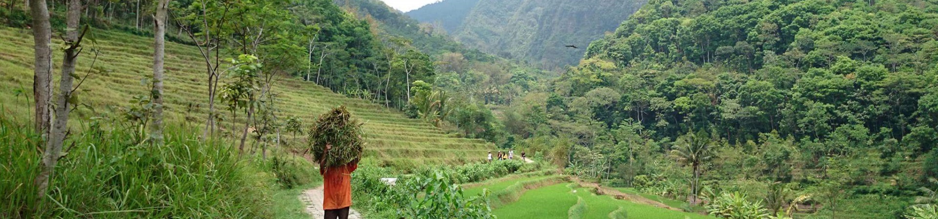Image of Selogriyo Temple Trekking