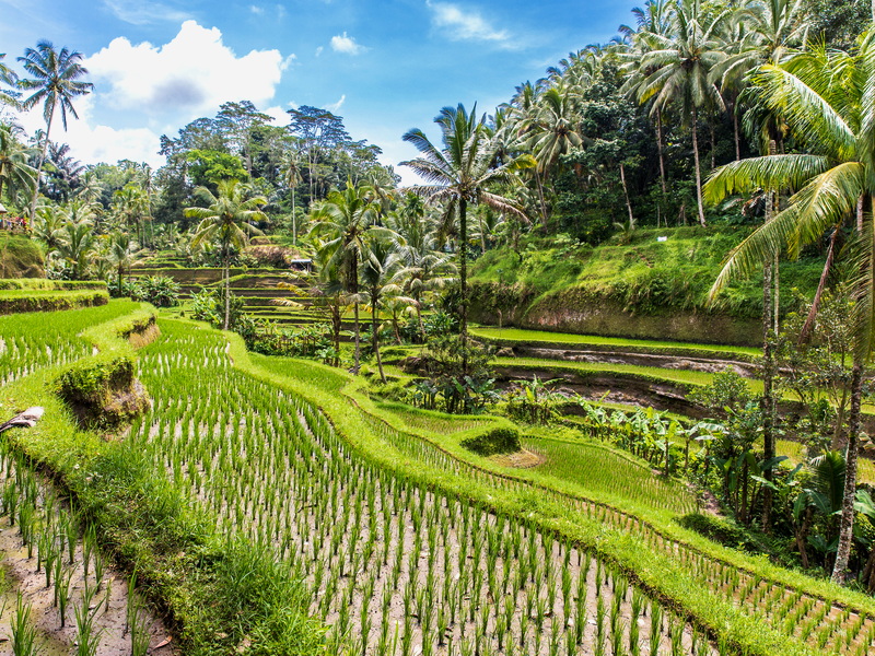 Stunning Poses of Bali