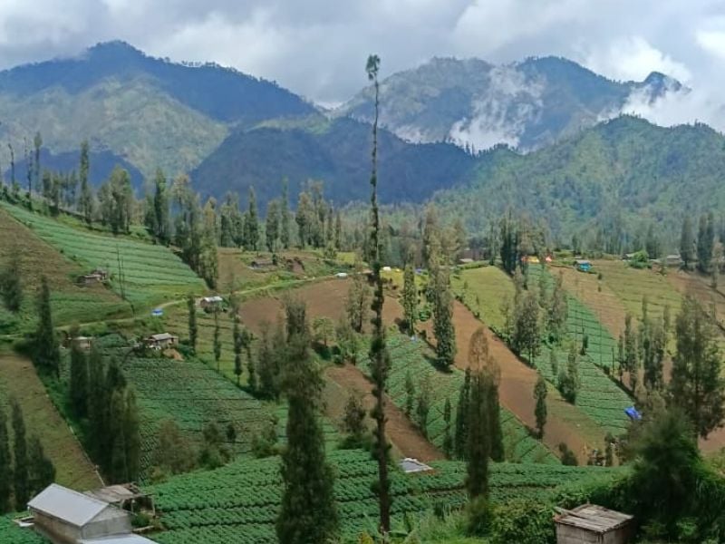 Tengger Culinary and Bromo Sunset Experience