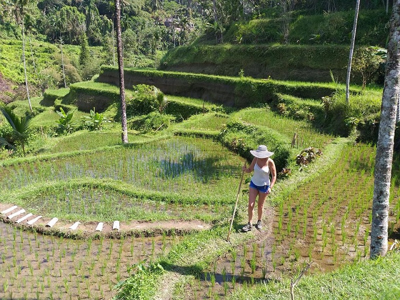 The Absolute Classic of Ubud and Beyond