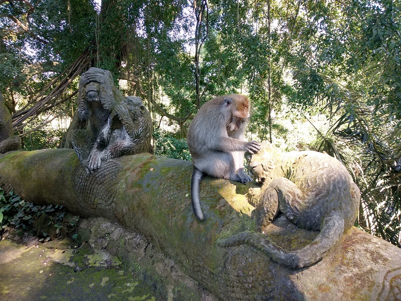 The Absolute Ubud Classics