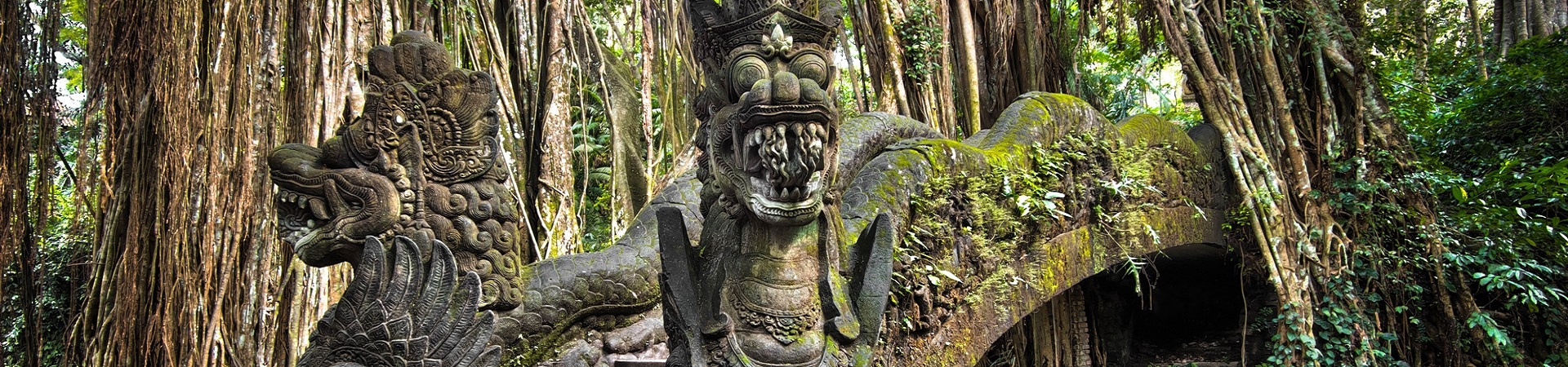 Image of The Absolute Ubud Classics