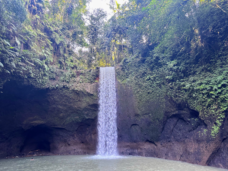 The Waterfalls Of Ubud