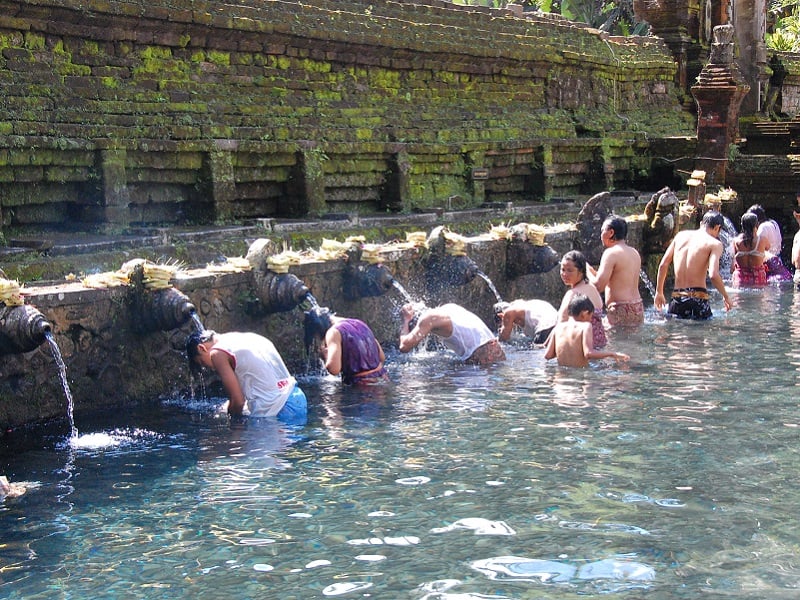 Ubud Family Day Tripper