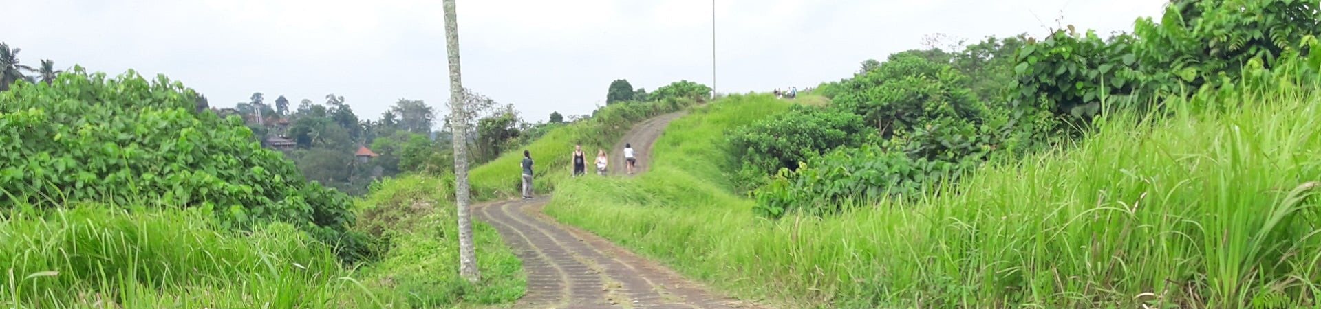 Image of Ubud Walking Tour