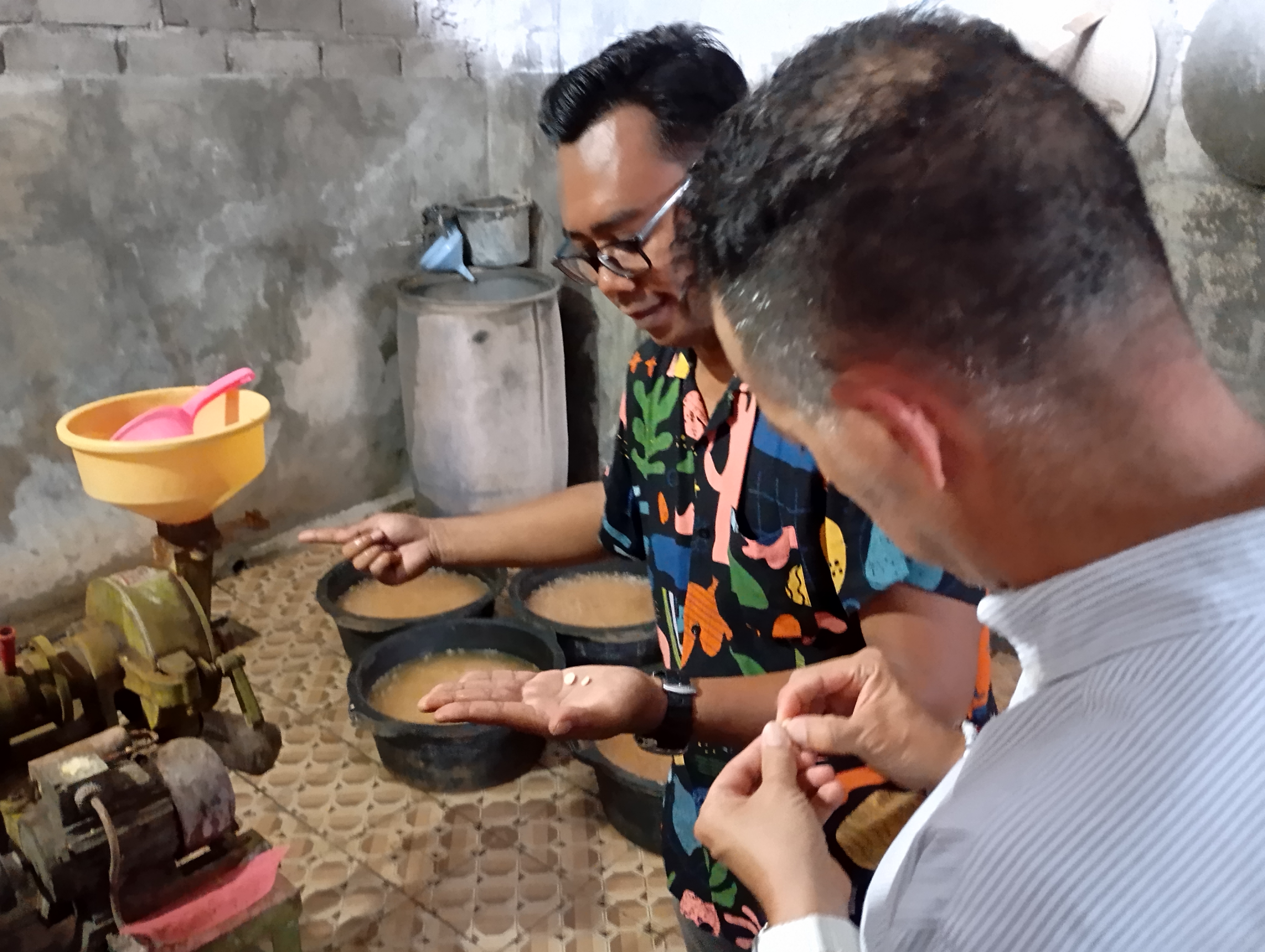 Uncover A Library’s Hidden Gems